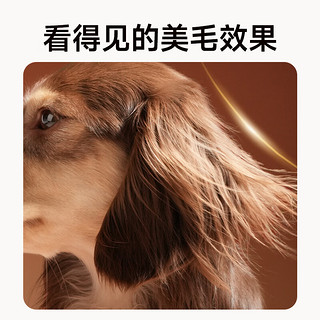 诚实一口BN01全阶段全价鲜肉烘焙犬粮