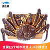 渔传播 同城速配 进口鲜活帝王蟹 4-4.5斤/只 海鲜水产