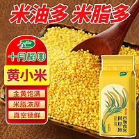 十月稻田 黄小米2斤真空小米煮粥小黄米米油多小米粥小黄米