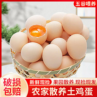 芮瑞 农家散养土鸡蛋 鲜鸡蛋柴鸡蛋初生蛋 生鲜 40g±5g/枚 8枚