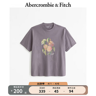 ABERCROMBIE & FITCH男装女装情侣装 24春夏新品 美式风时尚百搭T恤 359229-1