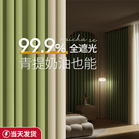 others 其他 卧室窗帘全遮光2024新款客厅法式高级感绿色飘窗轻奢免打孔安装布