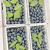 精品果 特大果 蓝莓 125g*3盒 单果15-18mm 顺丰空运