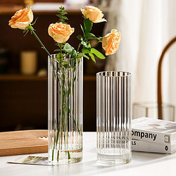 Tlife·Oxygen·花瓶簡約創意透明客廳餐桌玄關擺件插花器 | 氧氣