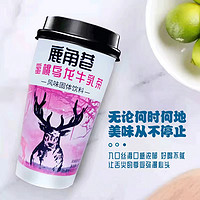 鹿角巷奶茶牛乳茶手工冲泡即饮现泡杯子整箱12杯店