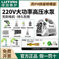 LUTIAN 绿田 雪豹洗车机220v高压水泵大功率感应电机家用强力水枪刷车神器 1600W 雪豹p4 插喷嘴版