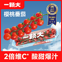一颗大 串番茄串收红樱桃番茄小西红柿水果小番茄生吃