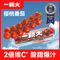 一颗大 串番茄串收红樱桃番茄小西红柿水果小番茄生吃