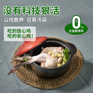 三德子好甄选农家山地散养壮年土老母鸡 1.2-1.5kg×2只