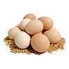 芮瑞 农家谷物虫草饲养土鸡蛋 40±5g/枚 10枚