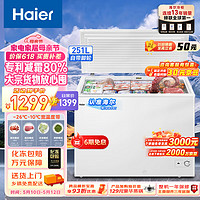 Haier 海尔 251升低霜卧式商用家用冰柜 商用大容量冷藏柜冷冻柜冰柜家用囤货小冰箱冷柜BC/BD-251HD