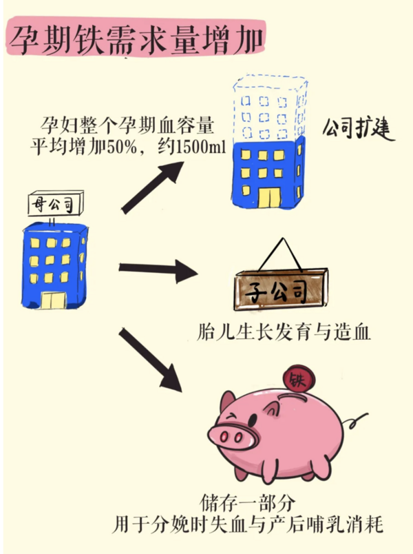 孕妇应该怎么补？教你“维生素，叶酸，铁”的搭配法则！意大利SiderAL叶酸维生素补铁粉贫血孕期