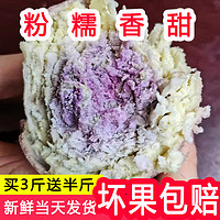 一点红红薯广东粉糯地瓜板栗薯山芋新鲜现挖冰淇淋番薯紫心薯