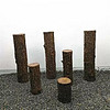 时光田野鱼缸森林香槟木造景树林杉木造景骨架素材沉木树干枯木 直径4-5厘米高35厘米  1根