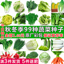 香芝都 四季蔬菜种子香菜菠菜青菜葱油麦菜白菜萝卜籽黄瓜南方生菜籽种孑