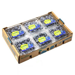 橙央 新鲜蓝莓 125g*12盒 单果12-14mm