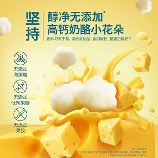 禾泱泱 奶酪花朵 宝宝零食 FD冻干技术 高钙高蛋白 方便易携带 奶酪花朵-原味*2+香蕉*2