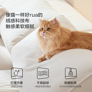 林氏家居布艺沙发客厅2024新款猫抓布双人沙发直排科技布小户型沙发BS616 ||防水科技绒