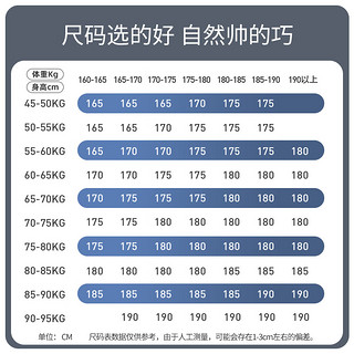 杉杉（SHANSHAN）短袖T恤男2024夏季真口袋薄款男士打底商务休闲中青年爸爸装 灰色 170