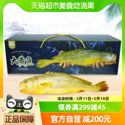 88vipminxia闽峡冷冻生鲜深海野化大黄鱼1只箱182斤礼盒装黄花鱼新鲜