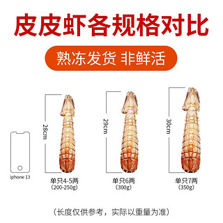 鲟食泰国超大皮皮虾 特大濑尿虾 虾爬子冰鲜熟冻富贵虾姑海鲜大虾 1000g （全母有膏共3只）超大