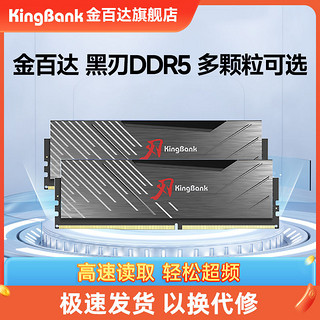 黑刃 DDR5 6000MHz 台式机内存 马甲条 黑色 32GB 16GBx2