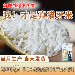 瑶珍 瑶山正宗猫牙米晚稻长粒香米超长新米5斤农家煲仔饭专用真空2.5kg