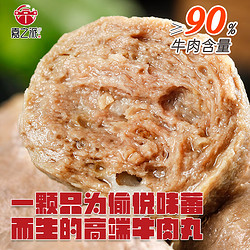 嘉之派 正宗潮汕牛肉丸 牛肉含量≥90%  牛筋丸特产火锅食材