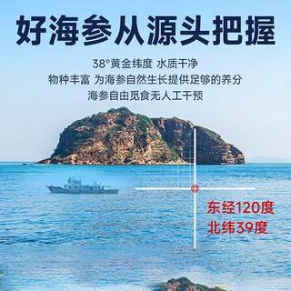 渔游记 即食海参即食大连刺参深海辽刺参海参干货水产13-20头  500g