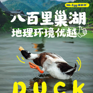  蛋鲜森 鲜活现杀 仔麻鸭  仔麻鸭2只装 2kg