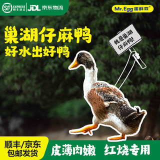  蛋鲜森 鲜活现杀 仔麻鸭  仔麻鸭2只装 2kg
