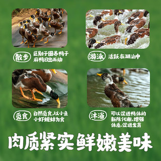 蛋鲜森 鲜活现杀 仔麻鸭  仔麻鸭2只装 2kg