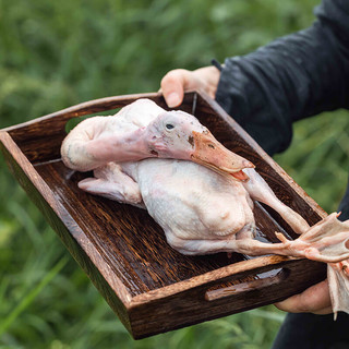  蛋鲜森 鲜活现杀 仔麻鸭  仔麻鸭2只装 2kg