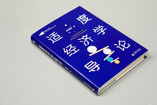 大学问·适度经济学导论（名学者李怀印、周其仁、杨壮等一致，系统阐述适度经济学的力作）