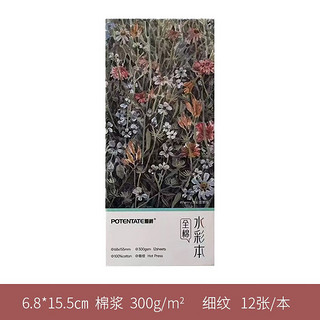 遵爵 票根型水彩纸明信片100%棉浆300g带锯齿异型纸空白邮票绘画纸 6.8X15.5CM便携口袋本 全棉浆