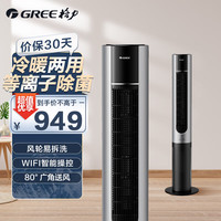 GREE 格力 冷暖塔扇塔式落地扇用风扇电风扇家用取暖器空气净化塔扇（FL-10X61RBag）