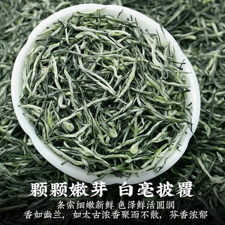 陈一凡 毛尖茶 茶叶绿茶2024新茶 明前春茶高山嫩芽浓香型茶叶袋装250克