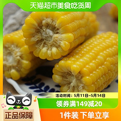 耘和 新鲜蔬菜东北松原黄糯玉米2kg（7-9个）真空黏玉米棒粘玉米