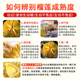 SMVP 泰国金枕榴莲 自然树熟 带壳整果 2-3斤