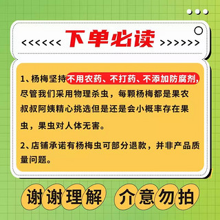 桃花会 冰杨梅40包（买30包送10包） 顺丰包邮