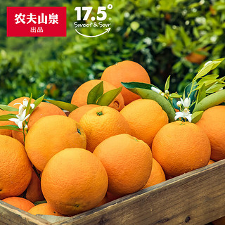 农夫山泉 17.5°橙 脐橙 春天的鲜橙 新鲜水果礼盒 3kg装