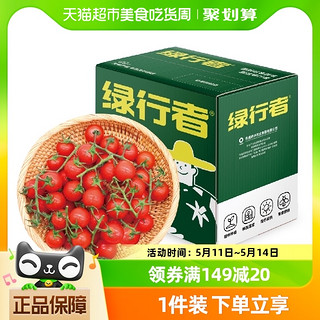 88VIP：GREER 绿行者 散串樱桃番茄生吃小西红柿500g*4盒酸甜
