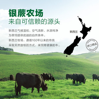 银蕨农场（SILVER FERN FARMS）新西兰草饲PS级原切牛腱子肉1kg生鲜原切生鲜牛肉 牛腱子肉1kg*2