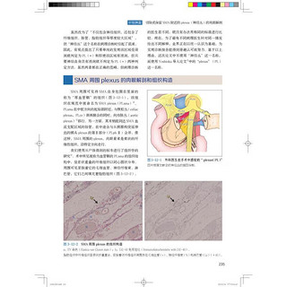 腹腔镜外科局部解剖图谱:解剖路径与手术操作 图书