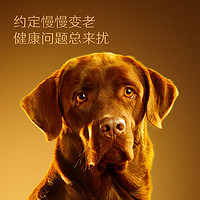 京东京造 特护系列 通用老年犬狗狗干粮 2kg