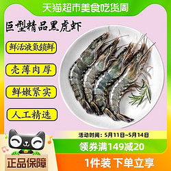 首鲜道 黑虎虾大虾新鲜超大 单只 19-22cm