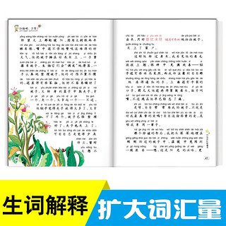 小笨熊 加油吧少年 注音版全套8册 .办法.诚实.读书.学习.坏习惯.操心.爸妈.考试