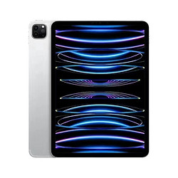 Apple 苹果 iPad Pro 11英寸 2022年款 M2 WLAN版 256GB