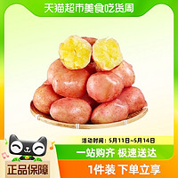 88VIP：云南高山应季新鲜蔬菜红皮黄心土豆9斤/5斤口感粉面产地直达