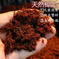 无菌椰土垫材乌龟冬眠蜘蛛蝎子爬虫角蛙蜗牛保湿苔藓免泡直接用 椰土1斤